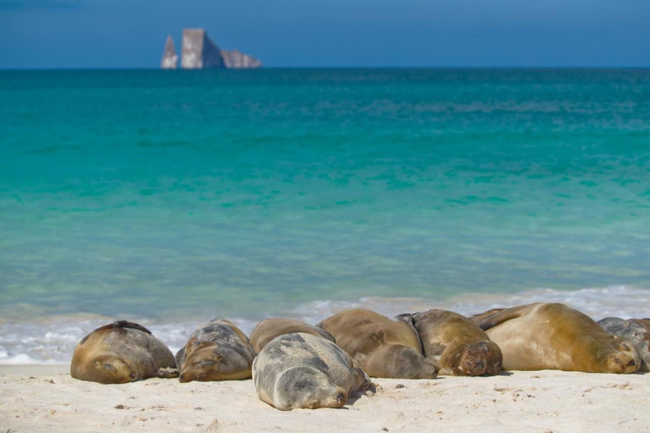 Suite Cielo, Discover The Magic Of Galapagos Puerto Baquerizo Moreno Exterior foto